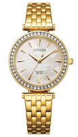 Hodinky Citizen Classic ER0212-50Y