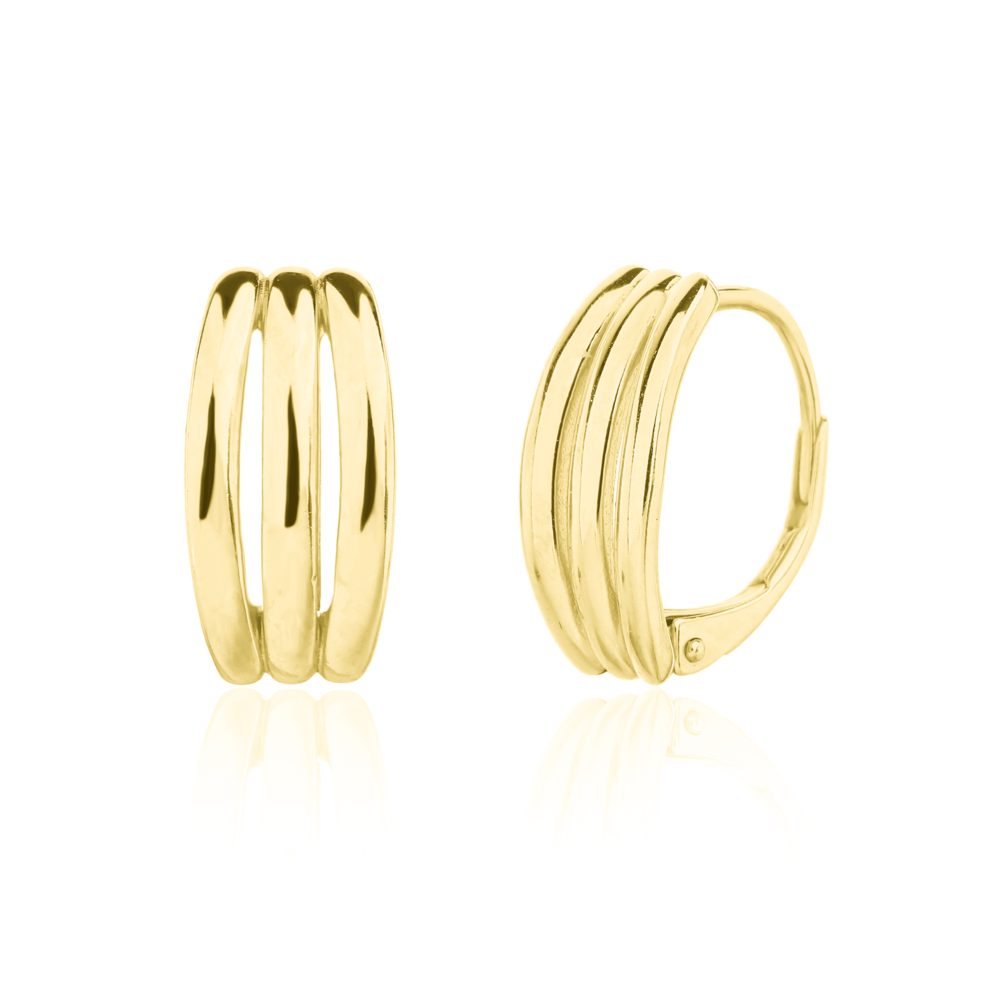 Náušnice JVD SVLE3373XJ6GO00 stříbrné