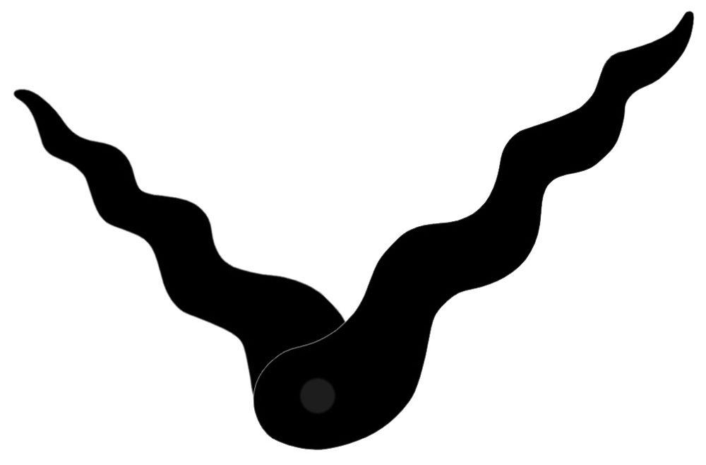 Hodinový strojek s tichým chodem včetně ručiček HRP202